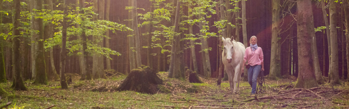 frei im wald mit pferd spazieren