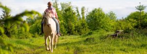 Yoga und Reiten - Yoga und Pferd mit Sonja Schett im Chiemgau